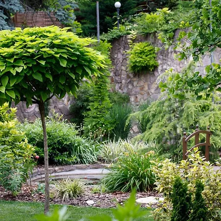 Alojamento de Acomodação e Pequeno-almoço árnyas Panzió 3*