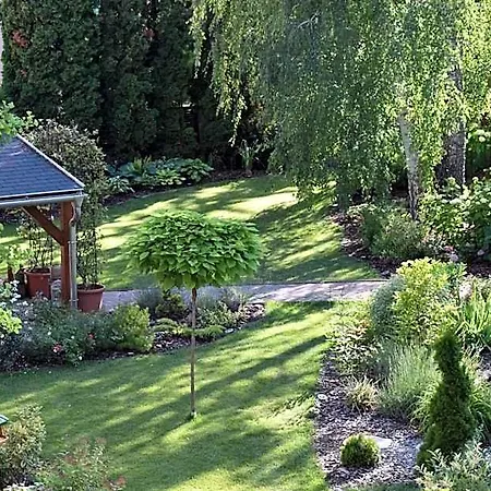 Arnyas Panzio Bed and Breakfast
